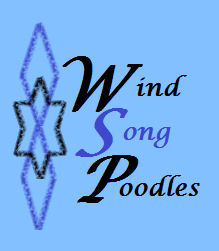 Wind Song Poodles